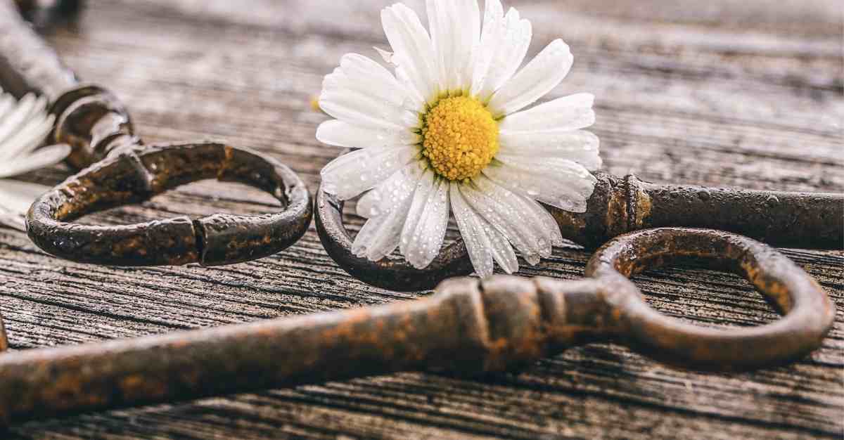 5 Keys to Hearing the Voice of God - Grace for My Home