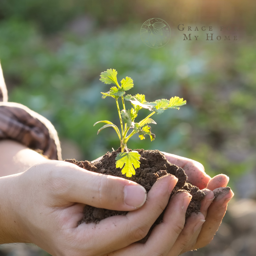 Cultivating a Thankful Heart - Grace for My Home